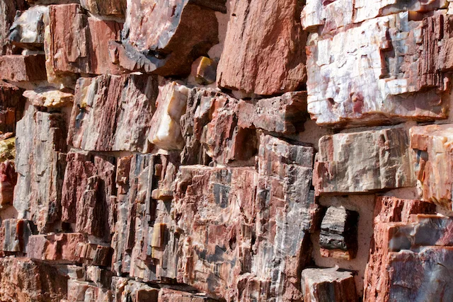 TTT-Giant-Logs-Agate-House-Trails-06