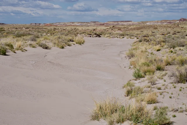 TTT-Giant-Logs-Agate-House-Trails-08