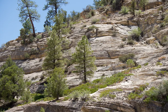 TTT-Grand-Staircase-Escalante-NM-Kanab-UT-02