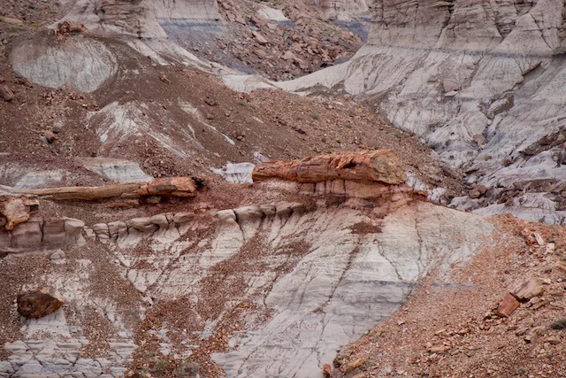 TTT-Historic-Blue-Forest-01