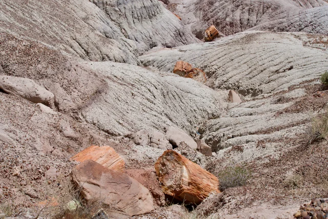 TTT-Historic-Blue-Forest-02