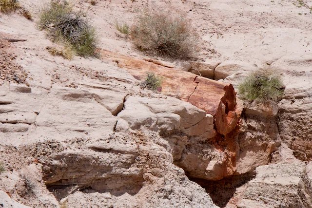 TTT-Historic-Blue-Forest-03