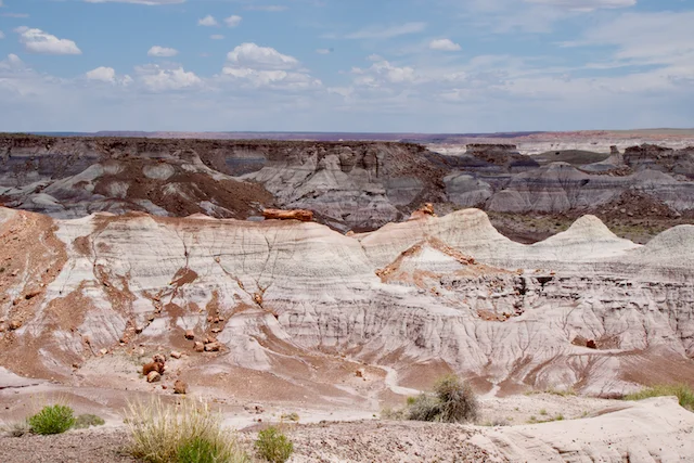 TTT-Historic-Blue-Forest-04