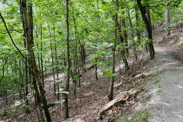 TTT-Hot-Springs-NP-West-Mountain-Trail-01
