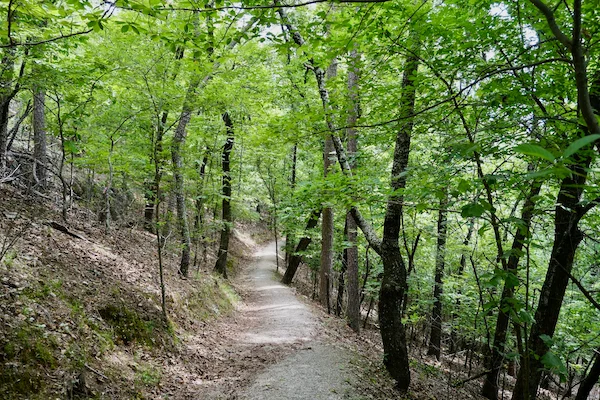TTT-Hot-Springs-NP-West-Mountain-Trail-02
