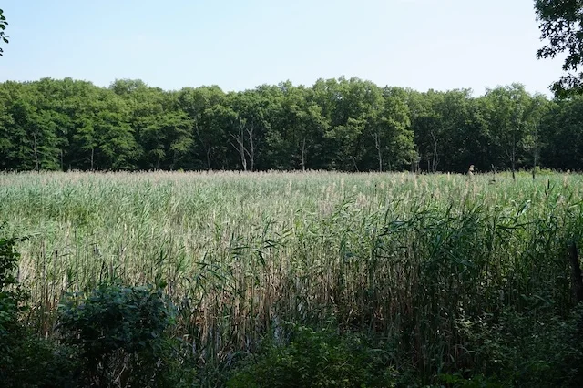 TTT-Indiana-Dunes-02