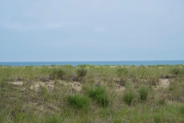 TTT-Indiana-Dunes-04