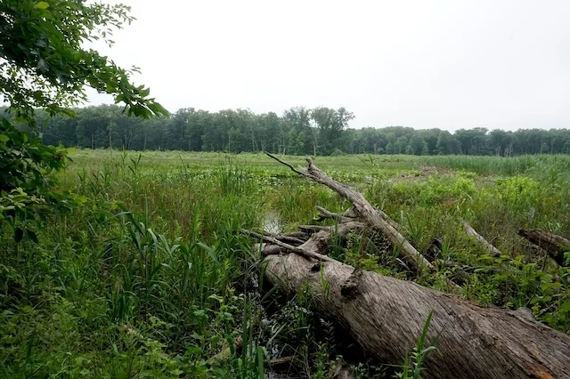 TTT-Indiana-Dunes-06