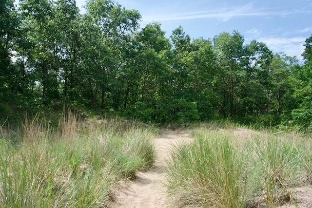 TTT-Indiana-Dunes-NP-Dune-Ridge-Trail-01