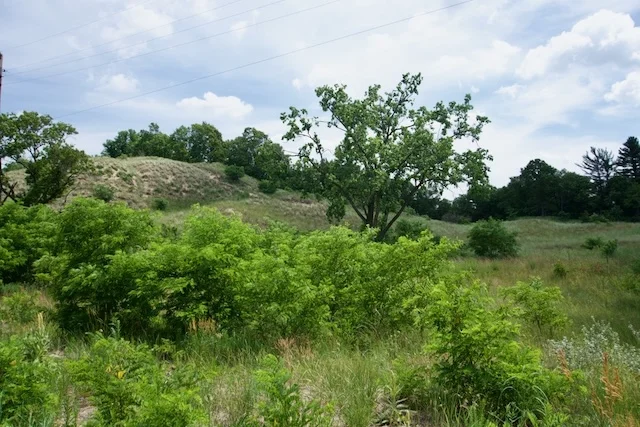 TTT-Indiana-Dunes-NP-Dune-Ridge-Trail-02