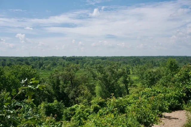 TTT-Indiana-Dunes-NP-Dune-Ridge-Trail-08