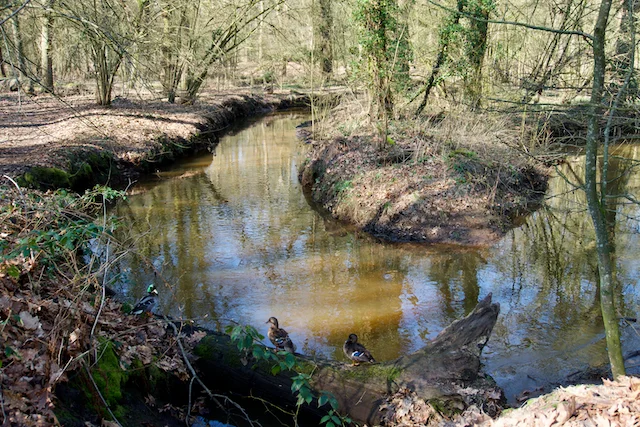 TTT-Landgoed-Wellenseind-03