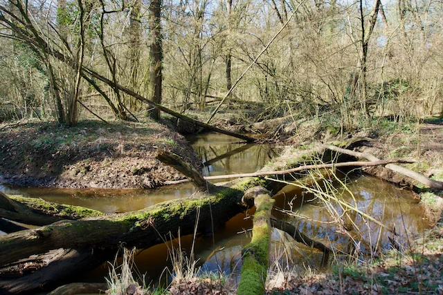 TTT-Landgoed-Wellenseind-04