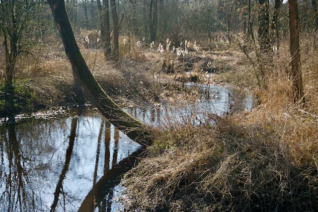 TTT-Landgoed-Wellenseind-05