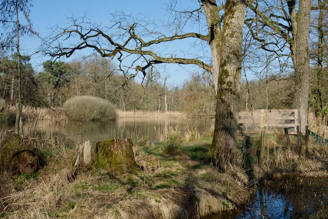 TTT-Landgoed-Wellenseind-06