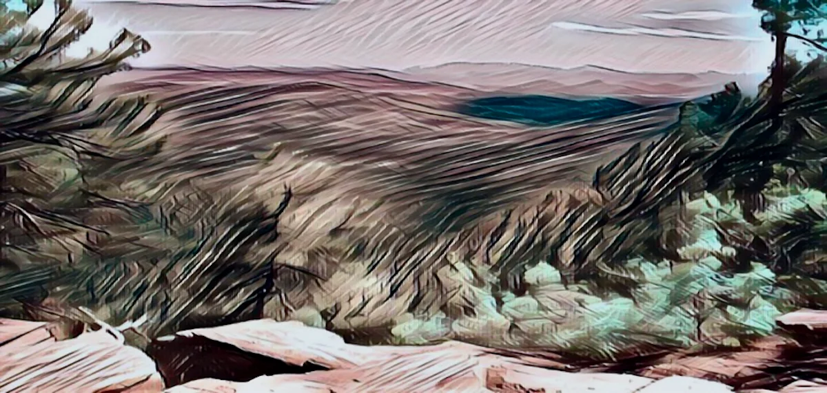 A Farewell to Tonto National Forest at the Mogollon Rim