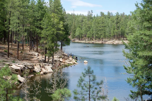 TTT-Mogollon-Rim-Woods-Canyon-Lake-02