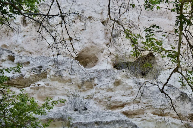 TTT-Montezuma-Castle-NM-02