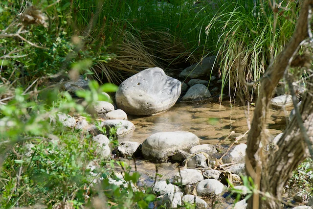 TTT-Montezuma-Castle-NM-05