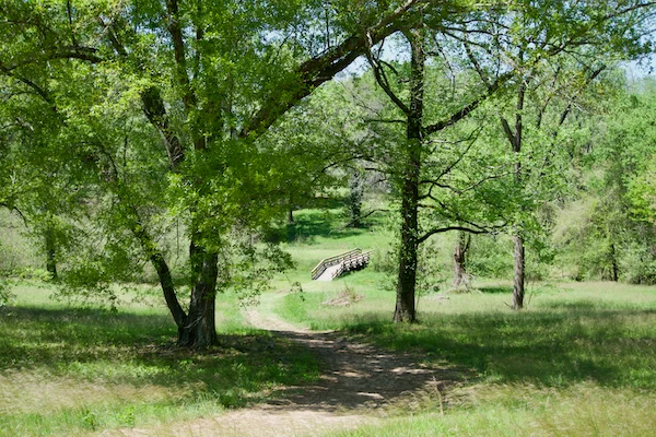 TTT-Ocmulgee-Mounds-NHP-02