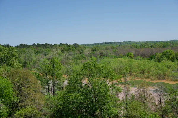 TTT-Ocmulgee-Mounds-NHP-04