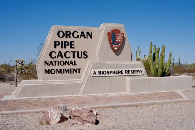 TTT-Organ-Pipe-Cactus-NM-01