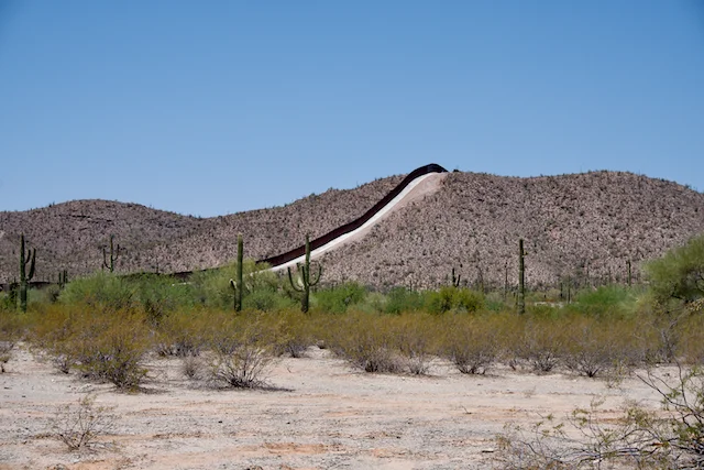 TTT-Organ-Pipe-Cactus-NM-07