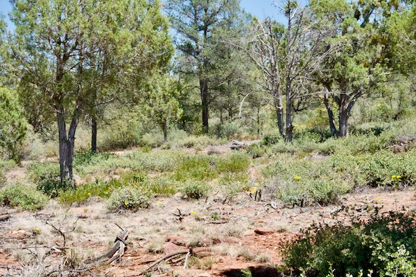 TTT-Peach-Orchard-Trail-Payson-AZ-01