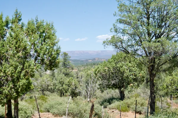 TTT-Peach-Orchard-Trail-Payson-AZ-02