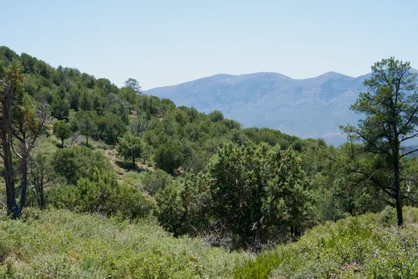 TTT-Peach-Orchard-Trail-Payson-AZ-03