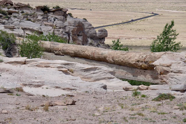 TTT-Petrified-Forest-NP-Agate-Bridge-01