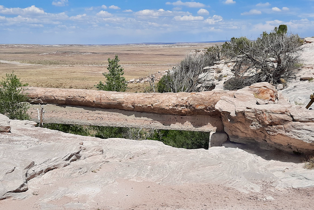 TTT-Petrified-Forest-NP-Agate-Bridge-02