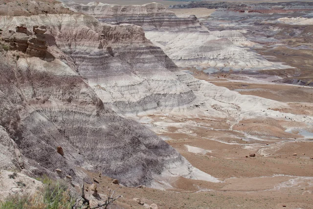 TTT-Petrified-Forest-NP-Blue-Mesa-Trail-01