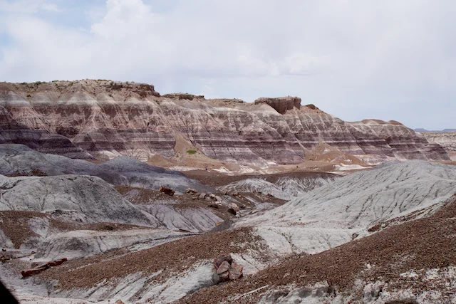 TTT-Petrified-Forest-NP-Blue-Mesa-Trail-03