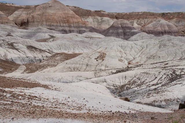 TTT-Petrified-Forest-NP-Blue-Mesa-Trail-04