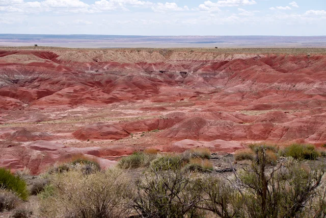 TTT-Petrified-Forest-NP- Painted-Desert-Rim-01