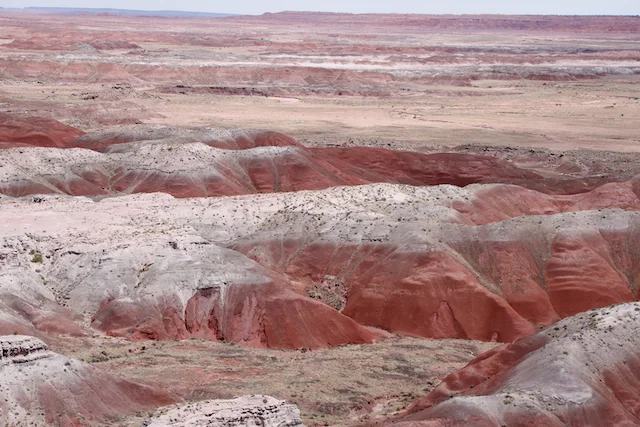 TTT-Petrified-Forest-NP- Painted-Desert-Rim-02