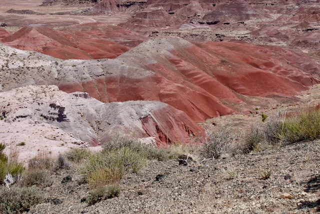 TTT-Petrified-Forest-NP- Painted-Desert-Rim-03