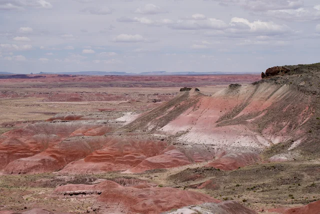 TTT-Petrified-Forest-NP-Pintado-Viewpoint-03