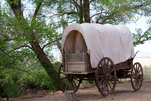 TTT-Pipe-Spring-NM-03