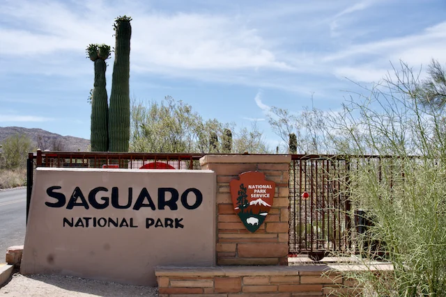 TTT-Saguaro-NP-01