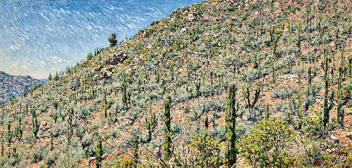 Saguaro West, The Volcanic Oven of the Tucson Mountains