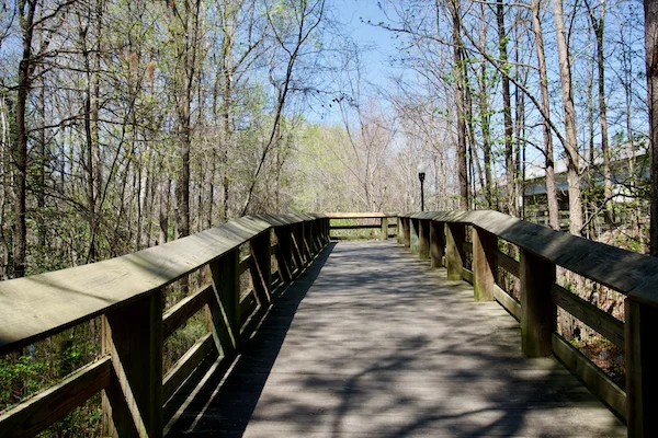 TTT-Timmerman Trail-Cayce-SC-02