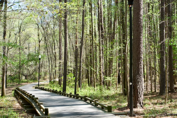 TTT-Timmerman Trail-Cayce-SC-03