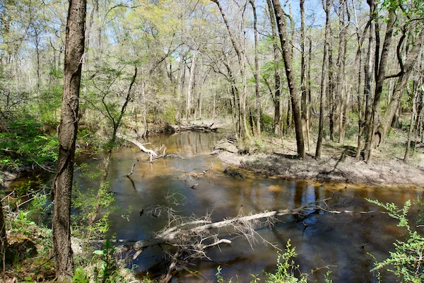 TTT-Timmerman Trail-Cayce-SC-04