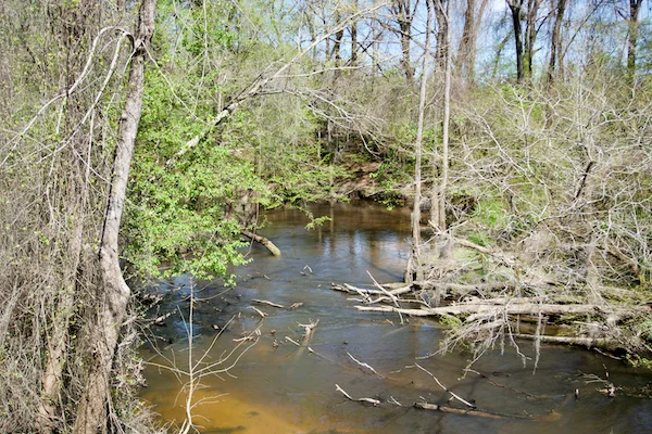 TTT-Timmerman Trail-Cayce-SC-06