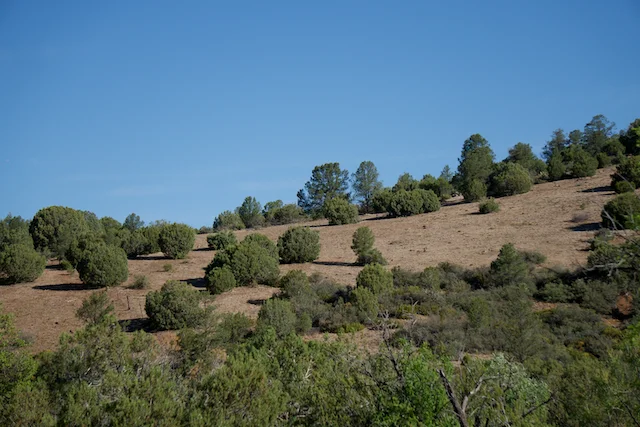 TTT-Tonto-National-Forest-Payson-AR-HIke-01