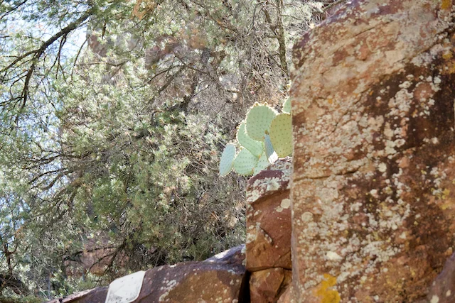 TTT-Tonto-Natural-Bridge-SP-02