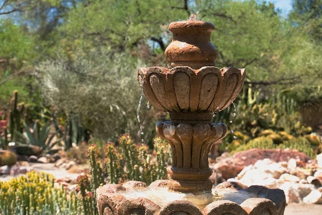 TTT-Tucson-Botanical-Garden-02