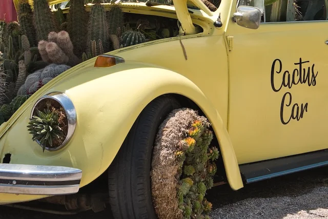 TTT-Tucson-Botanical-Garden-03
